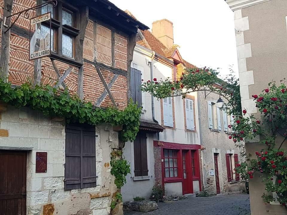 Le Meuble Monestois Villa Mennetou-sur-Cher Eksteriør bilde